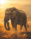Elephant Print