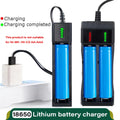 Dual USB Battery Charger